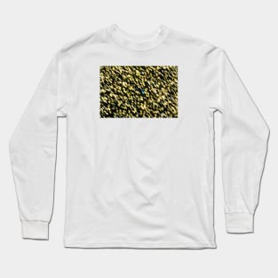 X-Mas Colors / Swiss Artwork Photography Long Sleeve T-Shirt